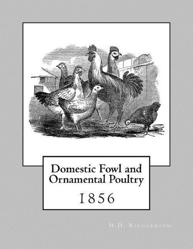 Domestic fowl and - fowl, ornamental