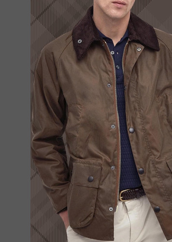 Bark barbour giacca - ~, cerata