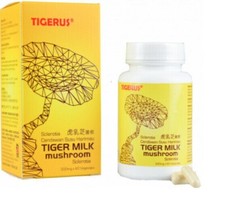 FUNGHI LATTE TIGRE SCLEROTIA