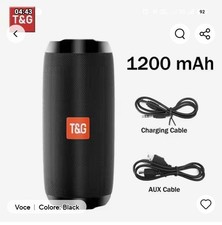 PORTABLE BLUETOOTH CASE TG117