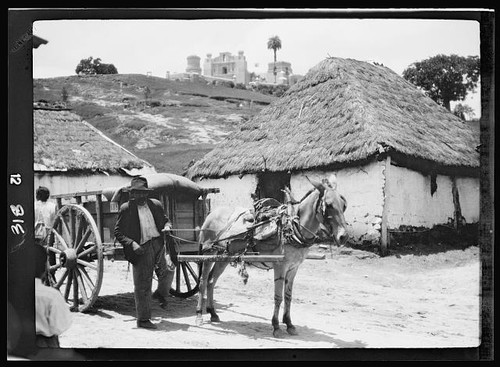 Foto cuba guatemala 1900 - 1900, carro