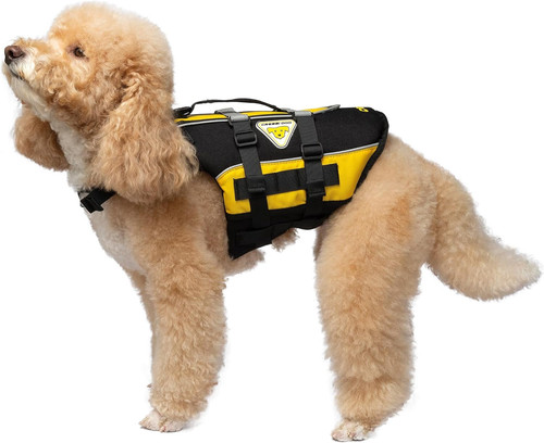 Dog life jacket - dog, jacket,