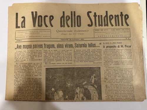 Giornale voce dello - giornale,
