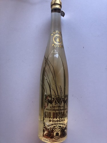 Kummel buton - kummel,