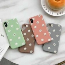 Custodia posteriore opaca