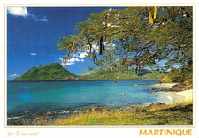 DOM-TOM-MARTINIQUE LE