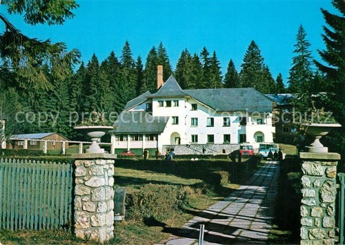 Hotel poiana brasov - hotel,