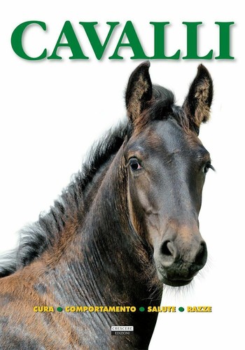 Cavalli cura comportamento - cavalli., cura,