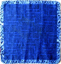 -Superbe  foulard ROBERTO
