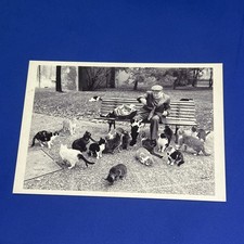 GATTINI A COLAZIONE GIARDINI DELLA STAZIONE DI BOLOGNA CARTOLINA D'EPOCA