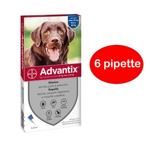 Advantix bayer spot - spot, pipette