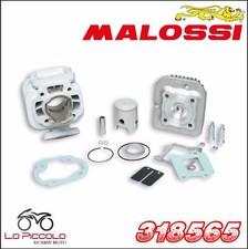 318565 MALOSSI GRUPPO TERMICO