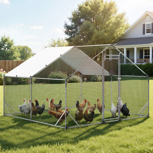Pollaio metallo 3x3x2 con - pollaio,