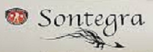 Set ammortizzatori molle - set, a