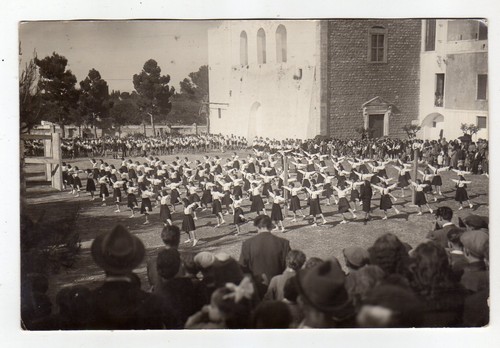 Bari anni saggio - ,