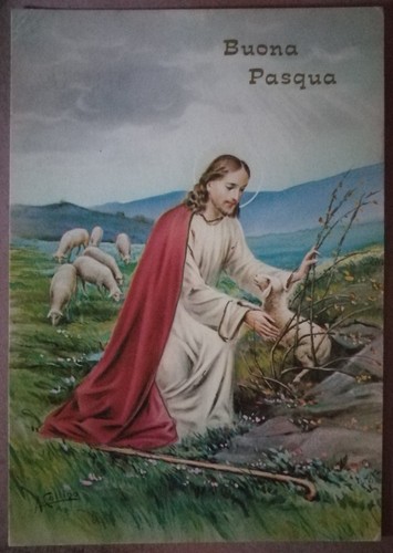 Buona pasqua cartolina - buona,