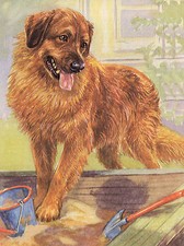 LEONBERGER LOVELY DOG ART GREETINGS NOTE CARD