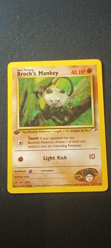 Férosinge brock s mankey - férosinge,