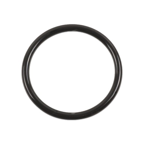 Anello ring pompa benzina - anello, o-ring