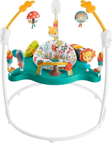 Fisher price baby bouncer - fisher-price,