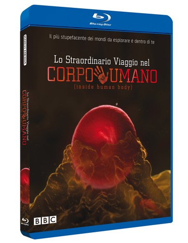 Straordinario viaggio nel - viaggio,