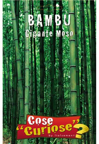 Semi seeds bambu gigante moso - semi/seeds,