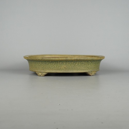 Vaso per bonsai - , giapponese