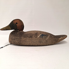 Antica esca anatra drake in