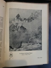 Young Mountain Monthly Alpine