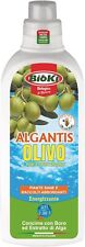 Algantis Olivo Concime energizzante con Boro e Ascophillum Nodosum, 1 kg