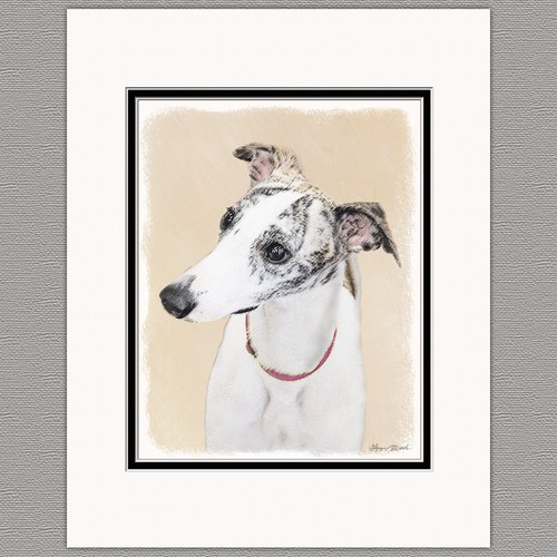 Whippet dog stampa artistica - dog,