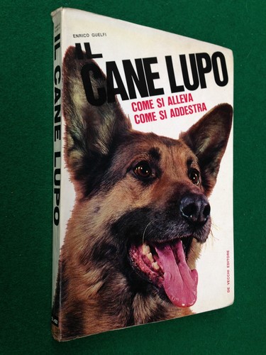 Enrico guelfi cane - enrico,