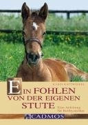 Karin Kattwinkel Un Puledro