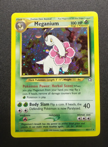 Meganium holo 111 neo - meganium, 10/111