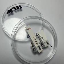 Rolex Hands Set vintage tropical for GMT Master 1 16753 16758 yellow