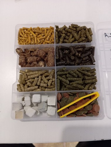 Mix cibo per invertebrati - cibo,