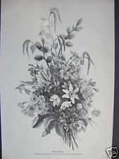 Bouquet Di Fiori Primaverili