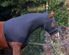 Lycra Horse Undercover