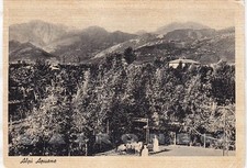 LUCCA PIETRASANTA 36 VILLA RADIOSA - ALPI APUANE Cartolina viaggiata 1959