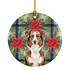 Red Merle Australian Shepherd