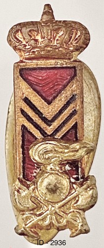 Regio esercito genio - regio,