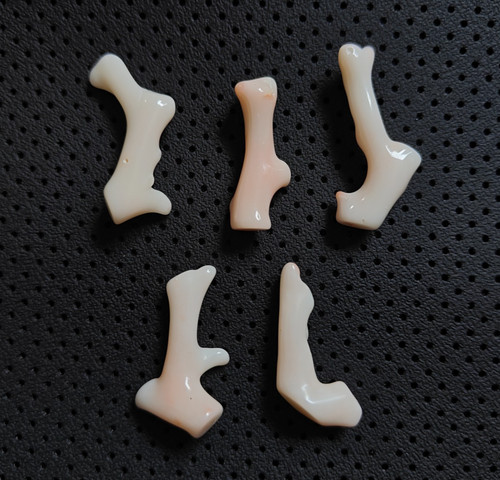 100 naturale corallo branch - 100%,