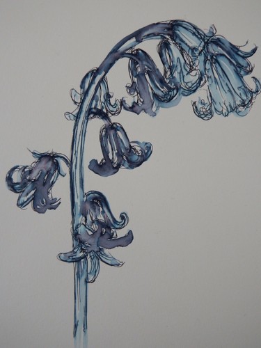 Carta acquerello disegno fiori
