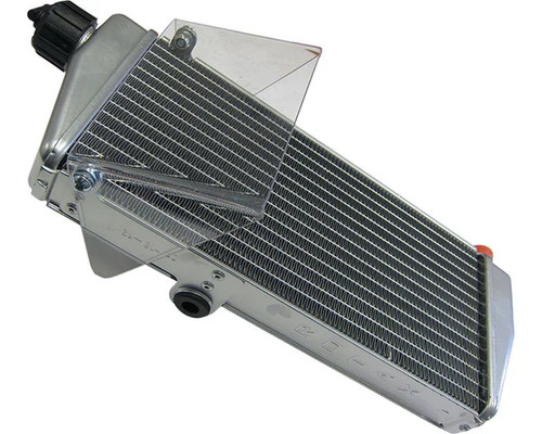 Radiatore rotax max silver - rotax,