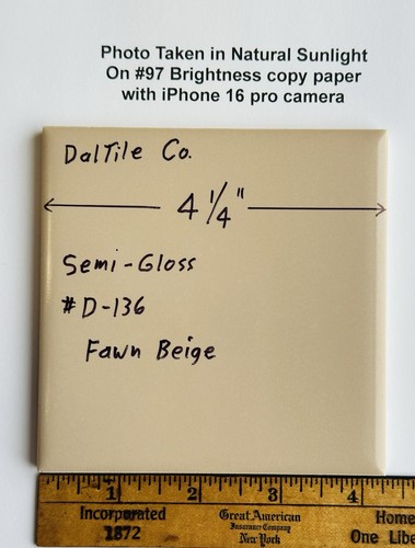 Fawn beige piastrella - beige:,