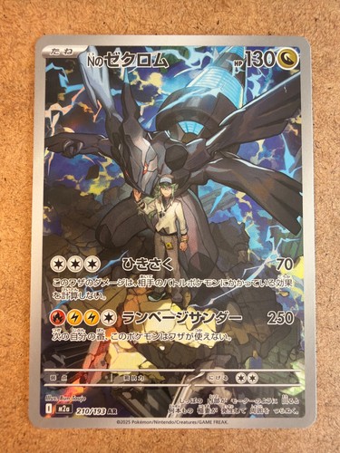 Pokemon zekrom 210 193 - pokemon,