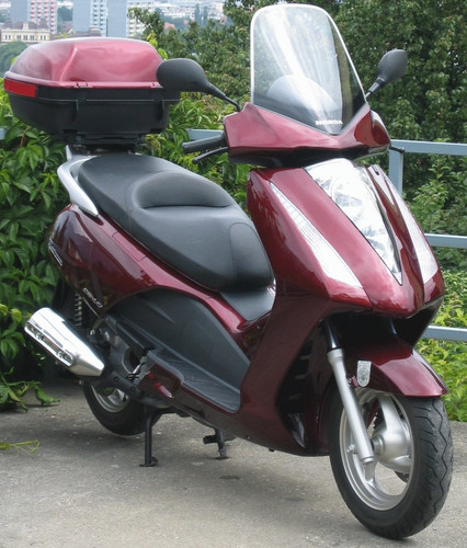Coprisella per honda - coprisella, s-wing