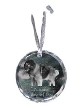 Cane Pastore Caucasico
