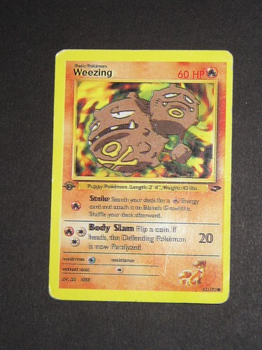 Pokemon weezing with puppy - with,