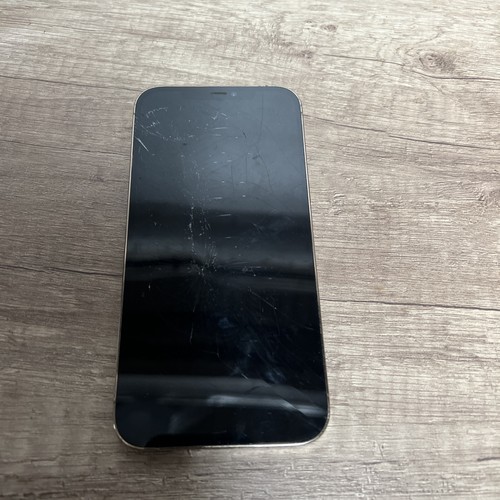 Iphone pro max difettoso - 12,